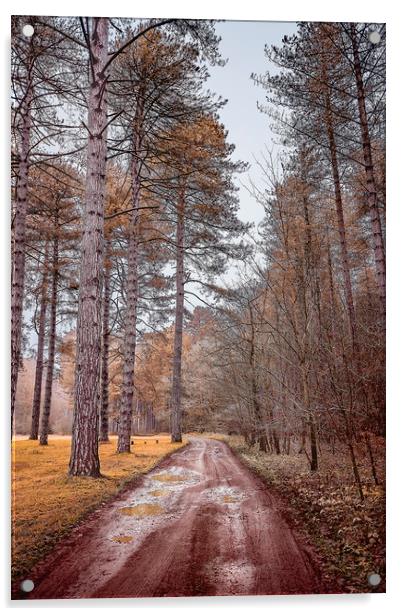 Path in a Woods Acrylic by Svetlana Sewell