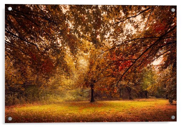 Autumn Branches Acrylic by Svetlana Sewell