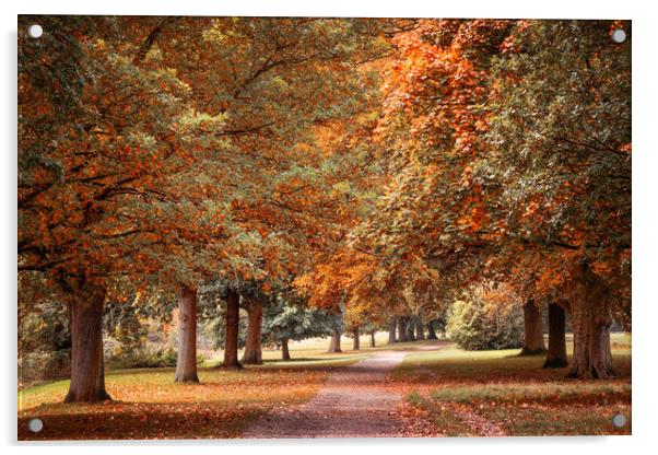 Pretty Autumn Path Acrylic by Svetlana Sewell
