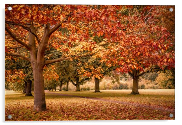 Autumn in Suffolk Acrylic by Svetlana Sewell