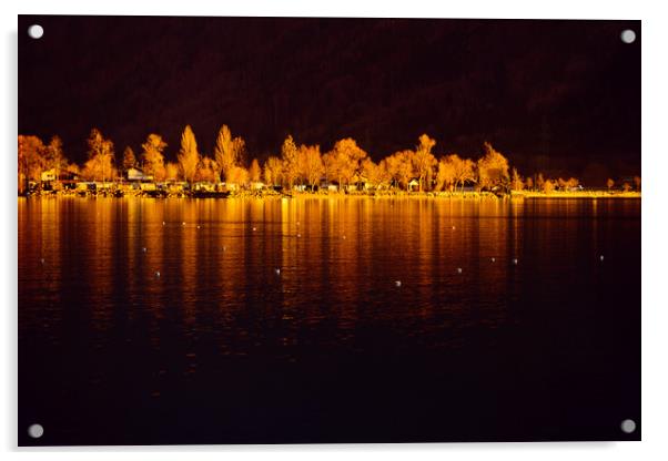 Lake Brienz Acrylic by Svetlana Sewell