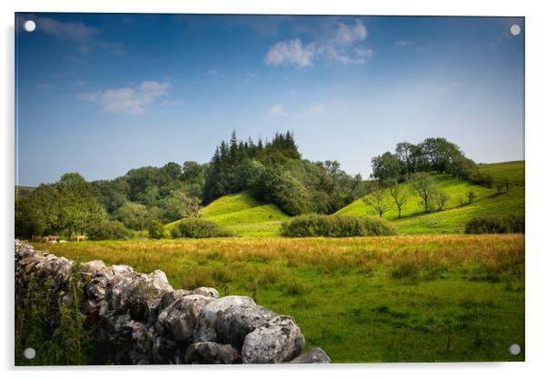 Yorkshire landscape Acrylic by Svetlana Sewell