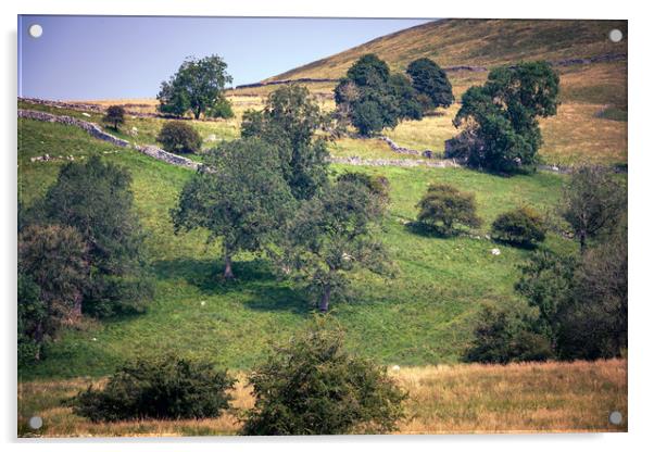 North Yorkshire landscape Acrylic by Svetlana Sewell