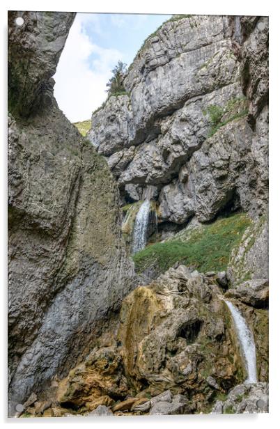 Gordale Scar Acrylic by Svetlana Sewell