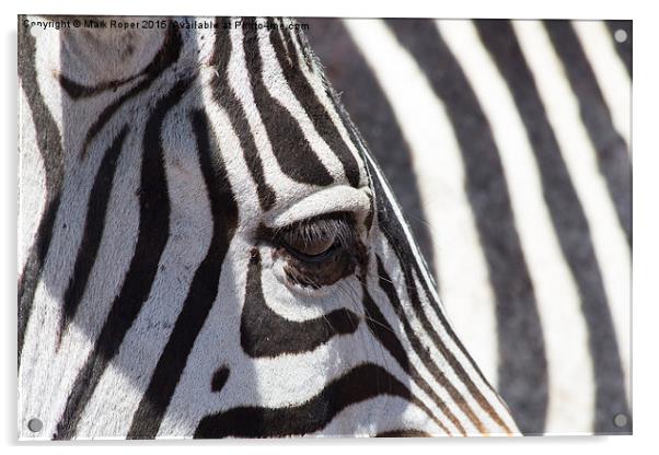 Zebra eye Acrylic by Mark Roper