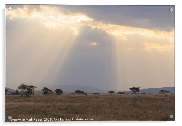 Rays of sunlight shining on the Serengeti savanna Acrylic by Mark Roper