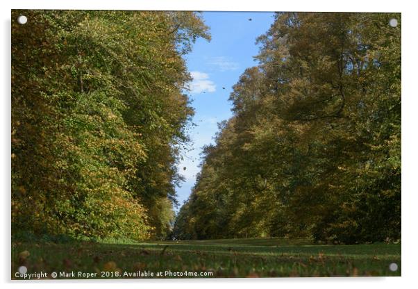 Leaves falling in autumn at Lime Avenue, Nowton Pa Acrylic by Mark Roper