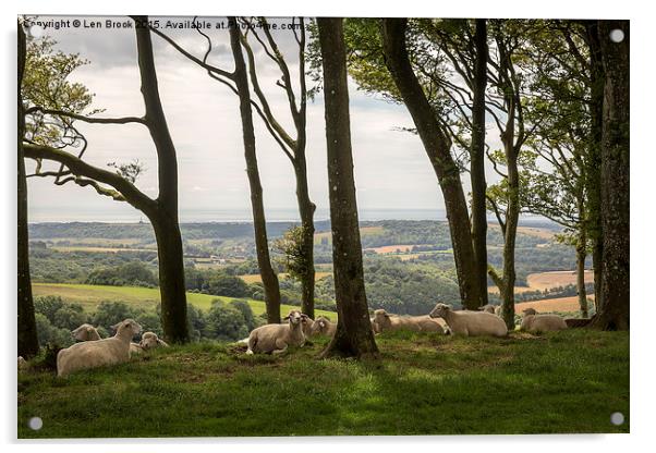 Sheep on Chanctonbury Ring Acrylic by Len Brook