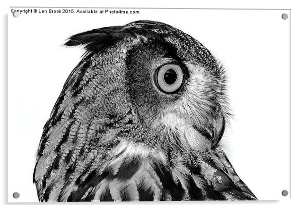 Eurasian Eagle Owl Acrylic by Len Brook