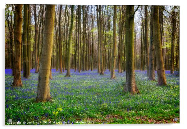 Bluebell Woods Acrylic by Len Brook