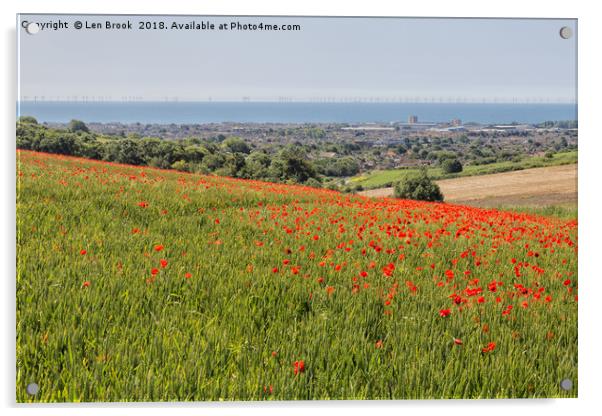 Poppies and the Sea Acrylic by Len Brook