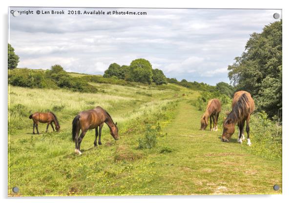 Cissbury Ring Ponies Acrylic by Len Brook