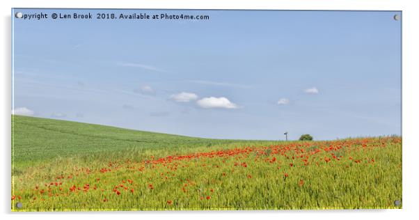 Poppy Fields of North Lancing Acrylic by Len Brook
