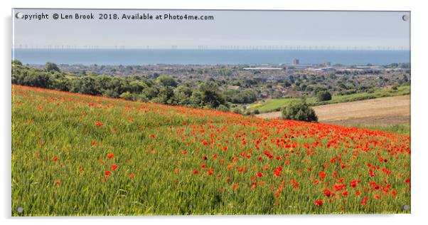 Lancing Poppies Acrylic by Len Brook