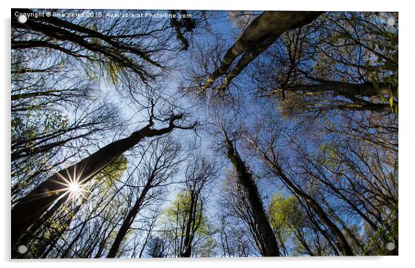  through the treetops  Acrylic by luke perez