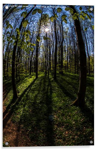  sun burst forest  Acrylic by luke perez