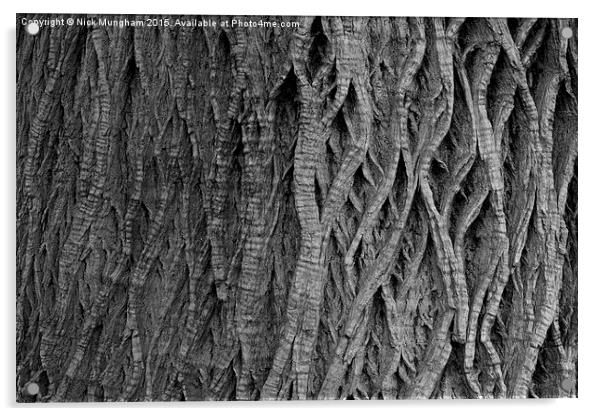  Tree Bark Acrylic by Nick Mungham