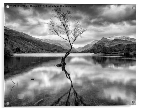 Llyn Padarn Mono Acrylic by Anthony Dixon