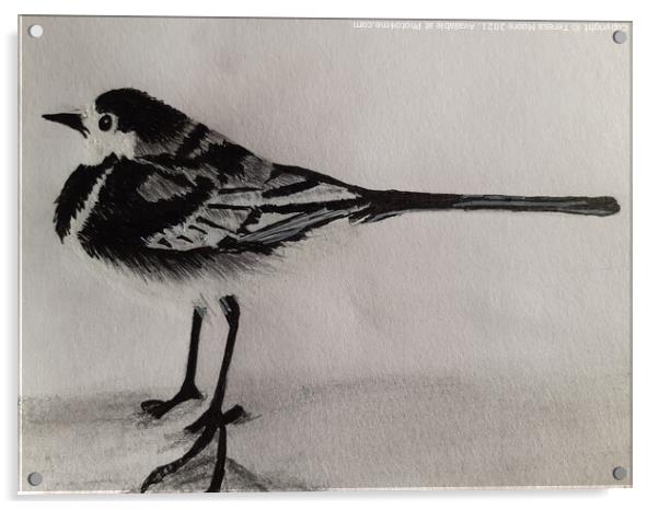 The curious Pied Wagtail of Winter Acrylic by Teresa Moore