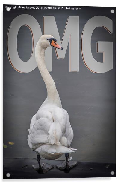  Shocked Swan Acrylic by mark sykes