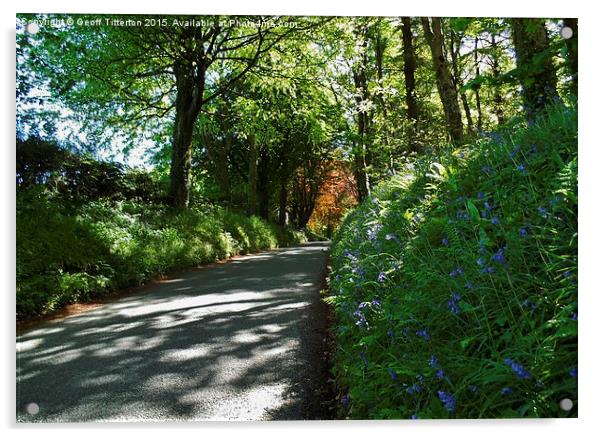  Bluebells in St. Issell's Acrylic by Geoff Titterton