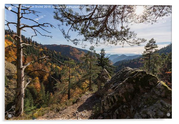 Schwarzwald, Rock, Mountain, Sunshine Acrylic by Christian Dichtl