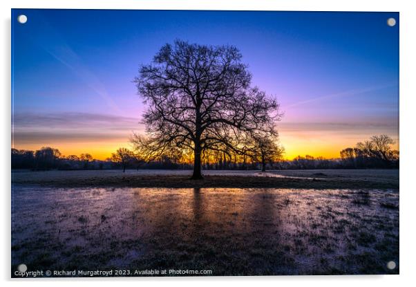 Winter sunrise in Dorset Acrylic by Richard Murgatroyd