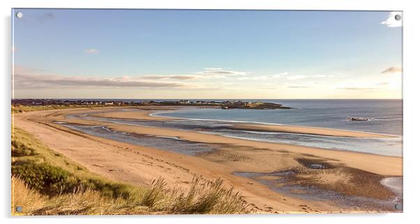  Dreamy Beadnell Bay Acrylic by Naylor's Photography