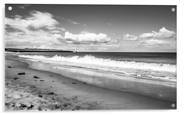 Beach view to St. Marys Lighthouse Mono Acrylic by Naylor's Photography