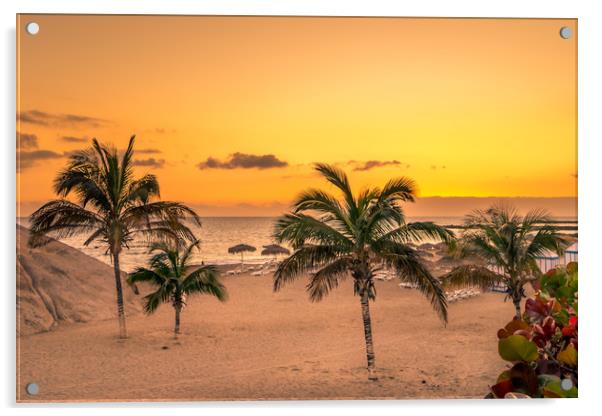 Palm Tree Beach  Acrylic by Naylor's Photography