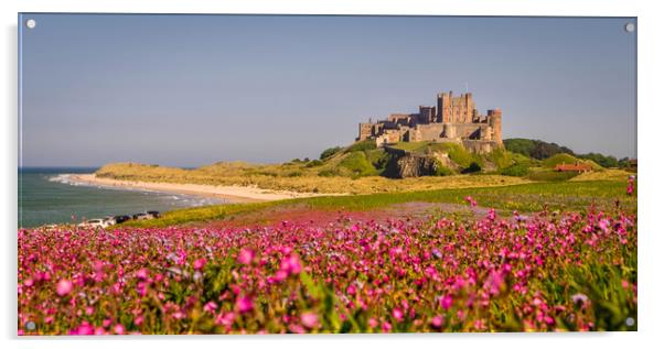 The Castle and the Campion Acrylic by Naylor's Photography