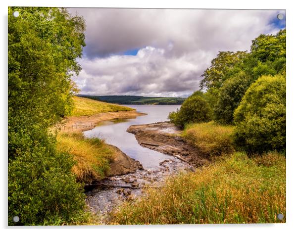 Around the lake Acrylic by Naylor's Photography