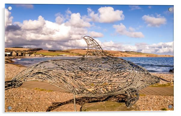 The Stonehaven Dolphin Acrylic by Naylor's Photography