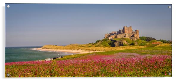Bamburgh Castle Campion fields Acrylic by Naylor's Photography