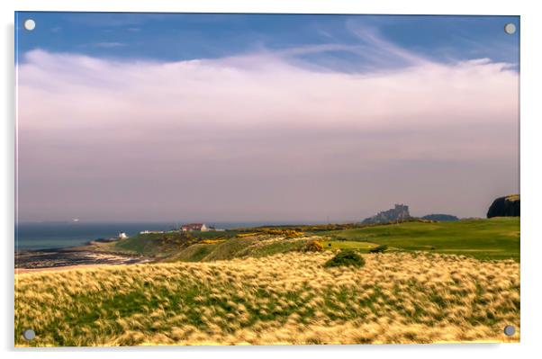 Bamburgh Golf Course Acrylic by Naylor's Photography