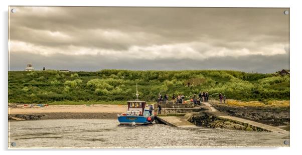 The beautiful Farne Islands Acrylic by Naylor's Photography