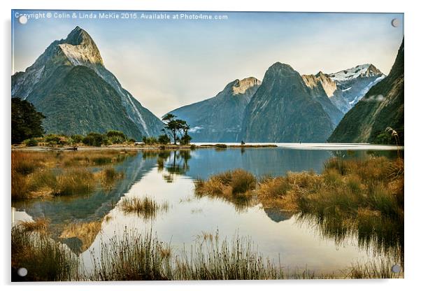 Milford Sound Acrylic by Colin & Linda McKie