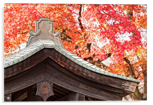 Shrine Roof and Autumn Leaves, Arashiyama, Kyoto Acrylic by Colin & Linda McKie