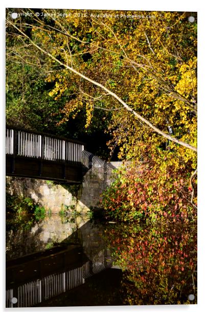 Water of Leith footbridge Acrylic by James Wood