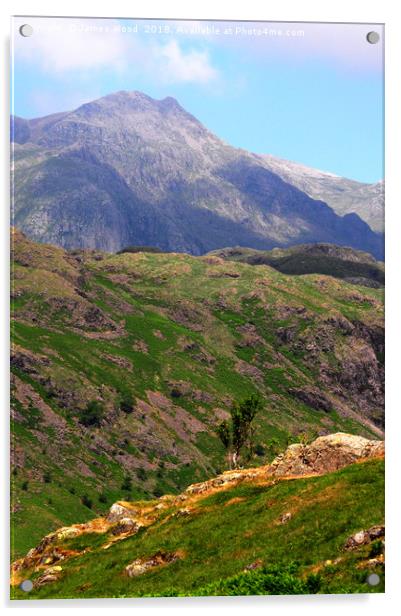 Scafell Pike Acrylic by James Wood