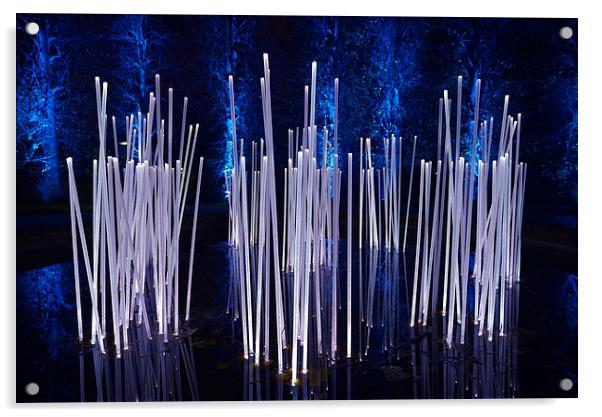  Edinburgh Light Show Art Display - Botanic Garden Acrylic by Ann McGrath