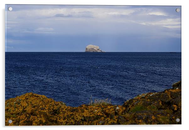  Bass Rock from North Berwick, East Lothian Acrylic by Ann McGrath