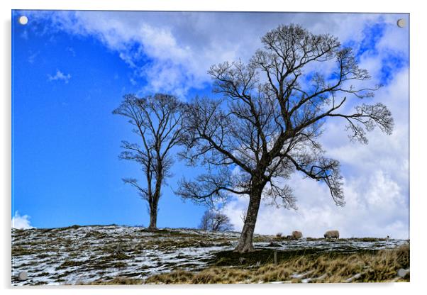 Trees Pentland Hills, Scotland Acrylic by Ann McGrath