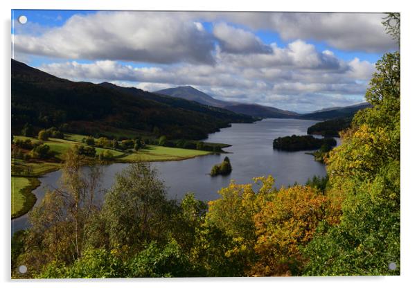 Queen's View, Perthsire Acrylic by Ann McGrath