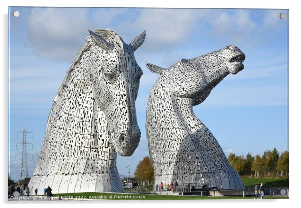 The Kelpies , the Helix , Falkirk Acrylic by Photogold Prints