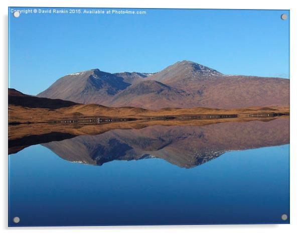  Black Mount , the Highlands , Scotland Acrylic by Photogold Prints