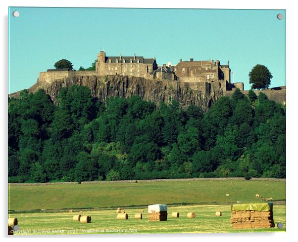 Stirling Castle , Stirling, Scotland Acrylic by Photogold Prints