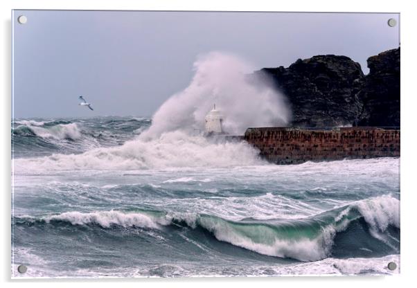 Storm Jake Acrylic by John Baker