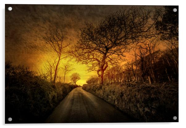 Winter Solstice Acrylic by John Baker