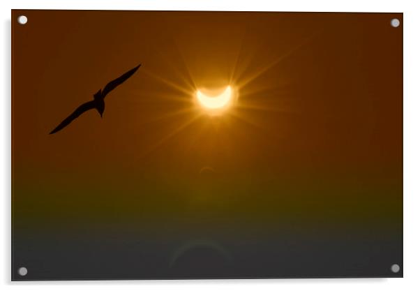 Eclipse Acrylic by John Baker